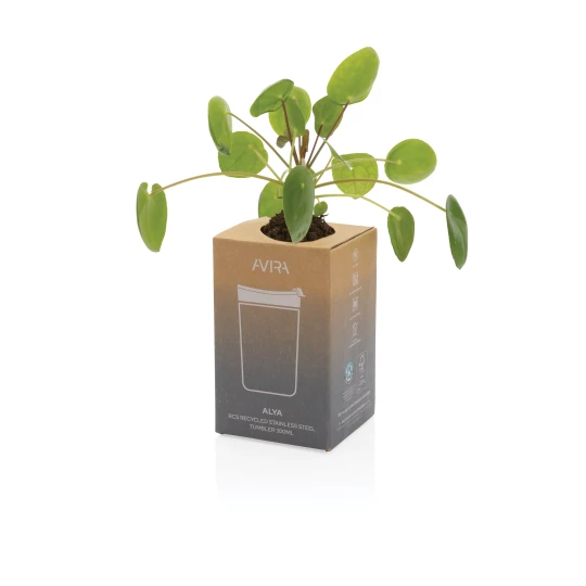 Kubek termiczny 300 ml Avira Alya (P438.029)-1