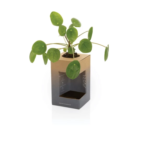 Kubek termiczny 300 ml Avira Alya (P438.028)-1