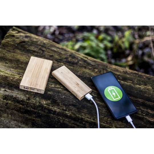 B'RIGHT Bambus-Powerbank 8000 mAh | Caroline (V0348-17)-1