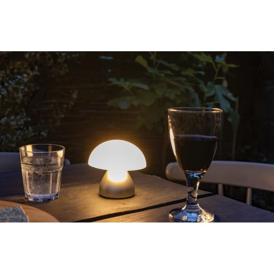 Lampka na biurko Luming, plastik z recyklingu (P513.742)-1