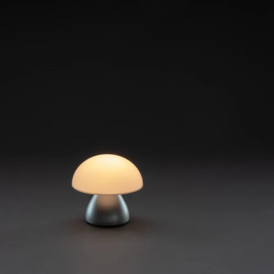 Lampka na biurko Luming, plastik z recyklingu (P513.742)-1