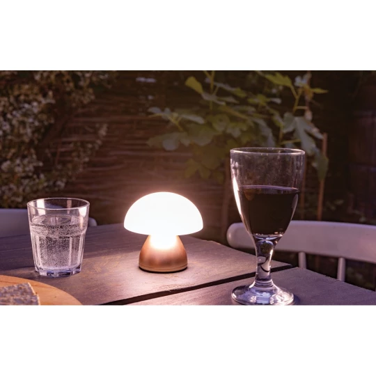 Lampka na biurko Luming, plastik z recyklingu (P513.749)-1
