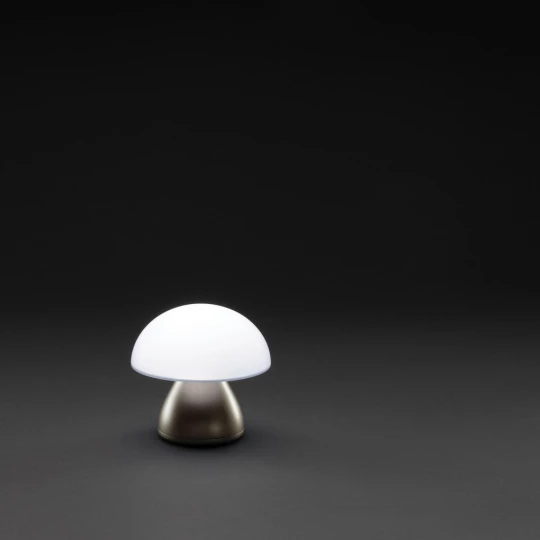Lampka na biurko Luming, plastik z recyklingu (P513.749)-1