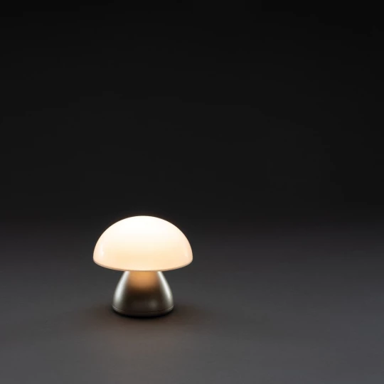Lampka na biurko Luming, plastik z recyklingu (P513.749)-1