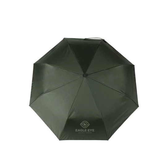 Parasol 21