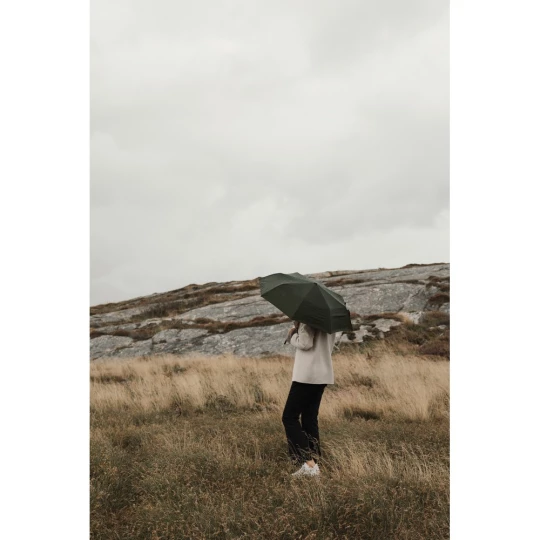 Parasol 21