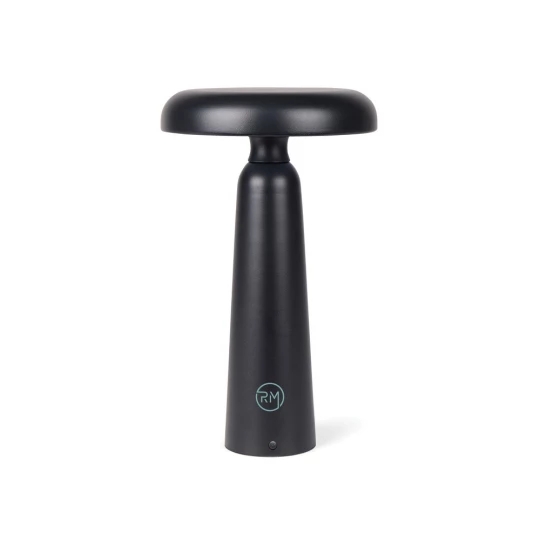 Lampka na biurko VINGA Avery (VG650-03)-1