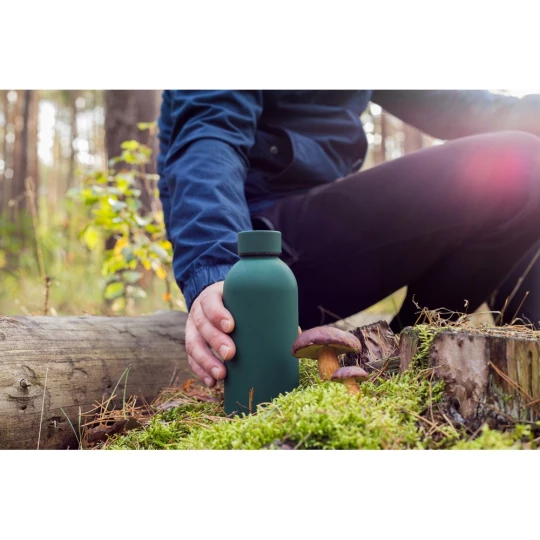 Thermo bottle 500 ml | Terryl (V1293-08)-1