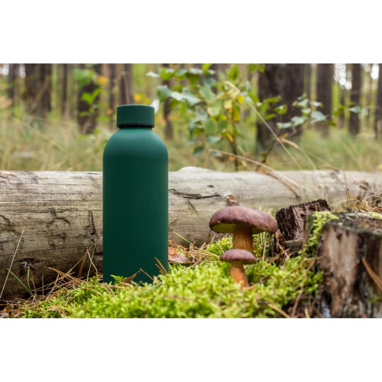 Thermo bottle 500 ml | Terryl (V1293-08)-1