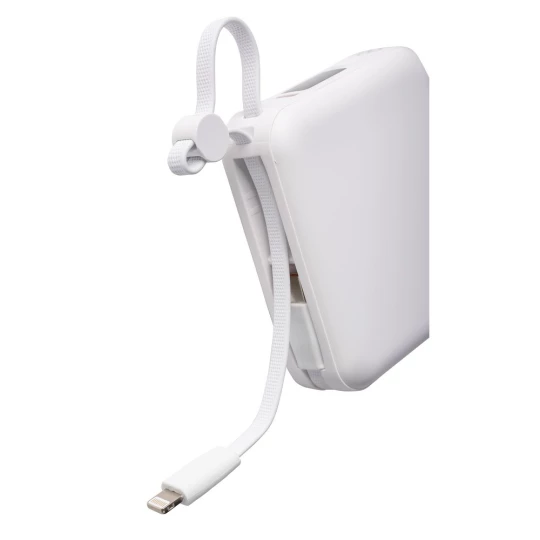 Powerbank 10000 mAh (VB100-02)-1