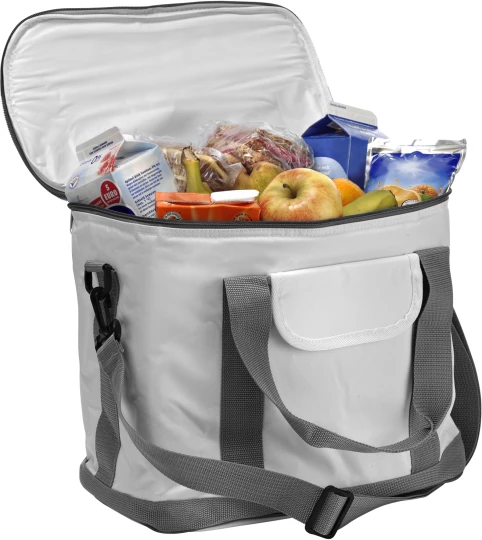 Kühltasche (V6368-02)-1