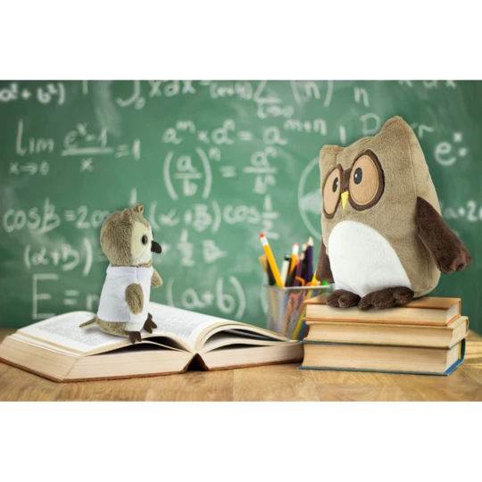 Pluszowa poduszka, sowa | Professowl (HE785-18)-1