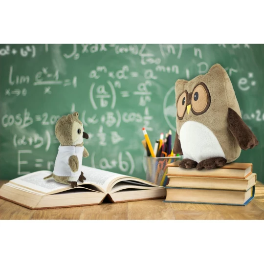 Pluszowa sowa, brelok | Cleverly (HE786-18)-1