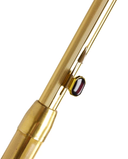 Automatic umbrella (V4158-24)-1