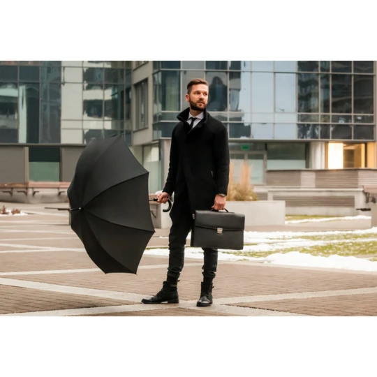 Automatic umbrella Mauro Conti | Harold (V4810-03)-1