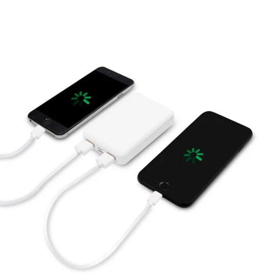 Powerbank 10000 mAh | Hart (V0173-02)-1