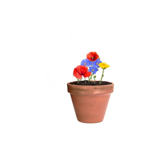 Wildflower seed ball (V7224-00)-1