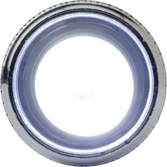 Schlüsselanhänger mit 1 LED-Lampe (V5455-03)-1