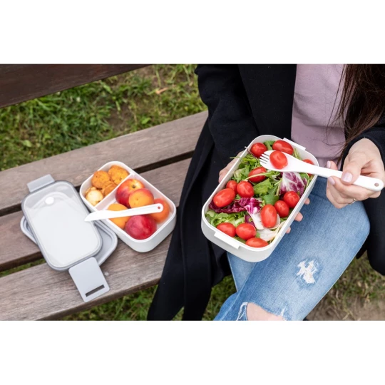 Lunch boxes 2 in 1, 2x700 ml, cutlery | Cash (V7246-02)-1