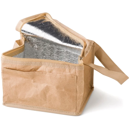 Paper cooler bag (V0297-16)-1