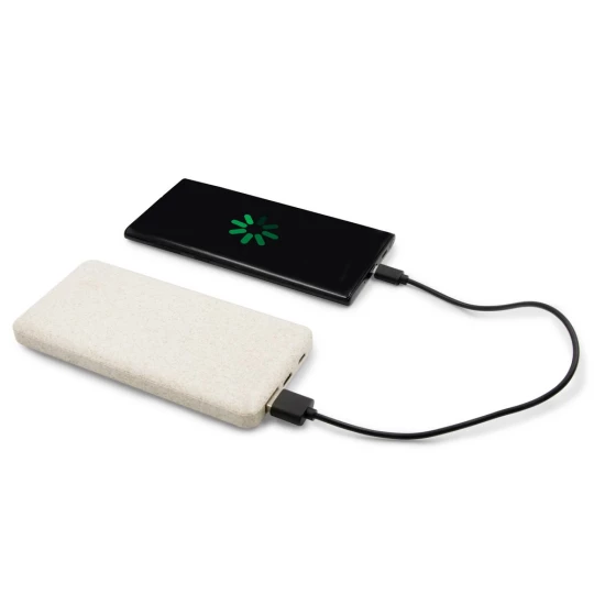 Power bank 8000 mAh ze słomy pszenicznej | Jenkins (V0725-00)-1