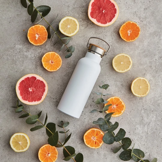 VINGA Miles Thermos Bottle 500 ml (VG059-02)-1