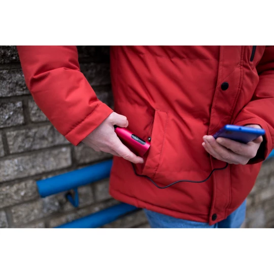 Power bank 10000 mAh | Walt (V1379-04)-1