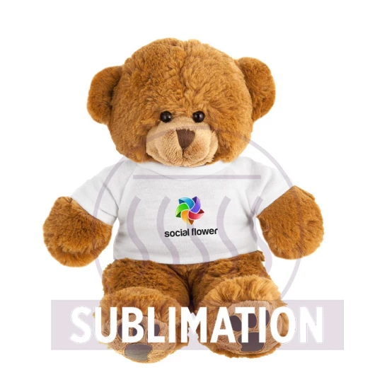 Plush teddy bear | Denis (HE264-16)-1