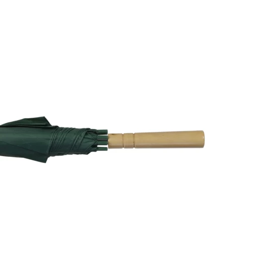 Parasol automatyczny (V4221-06)-1