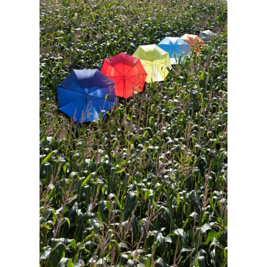 Regenschirm, automatisch (V4221-08)-1