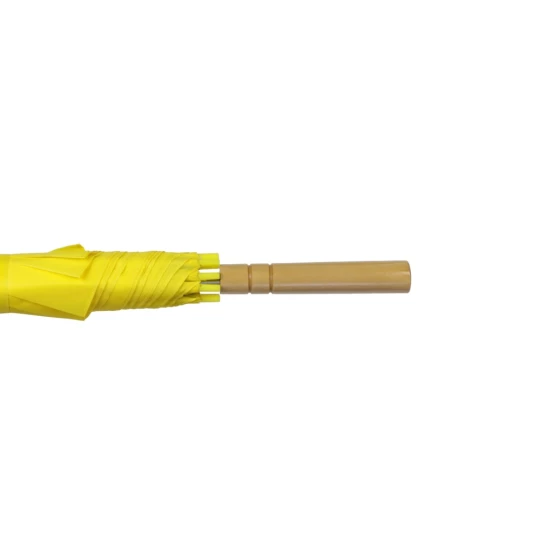 Regenschirm, automatisch (V4221-08)-1