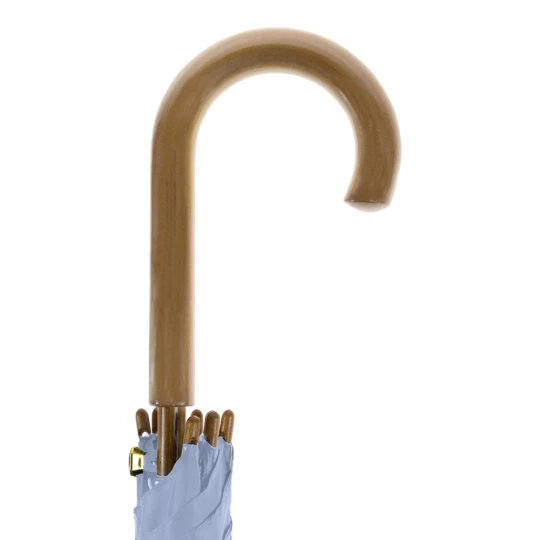 Automatic umbrella (V4226-04)-1