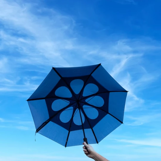 Wiatroodporny parasol manualny (V4213-19)-1