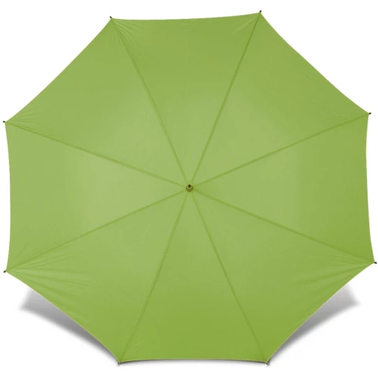 Manual umbrella (V4212-10)-1