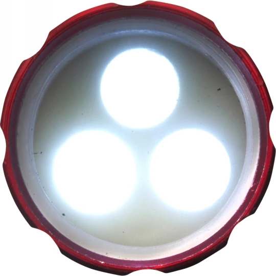 Schlüsselanhänger, Karabinerhaken, Taschenlampe 3 LED (V4193-05)-1