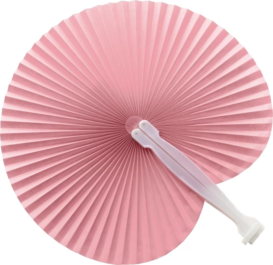 Hand fan (V6280-21)-1