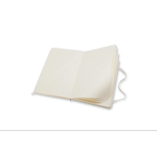 MOLESKINE Notatnik ok. A5 (VM301-02)-1