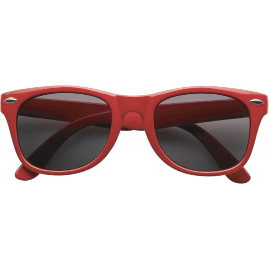 Sunglasses (V6488-05)-1