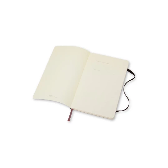 MOLESKINE Notatnik ok. A5 (VM303-03)-1