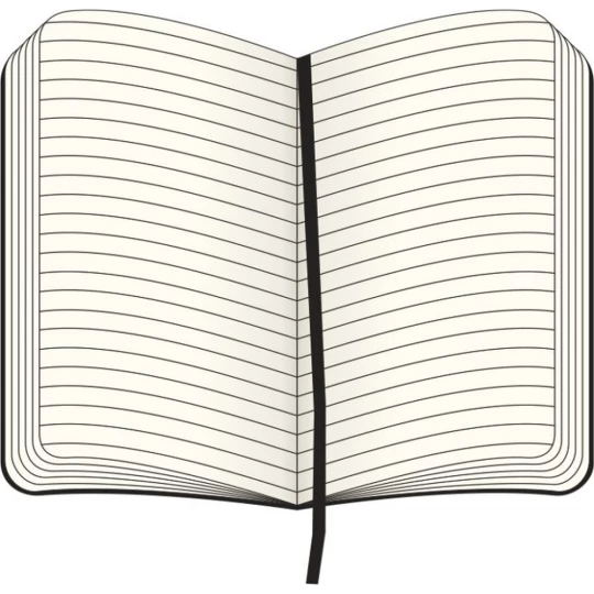MOLESKINE Notatnik ok. A5 (VM301-04)-1