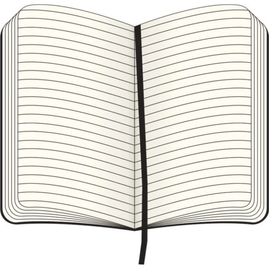 MOLESKINE Notatnik ok. A5 (VM303-05)-1