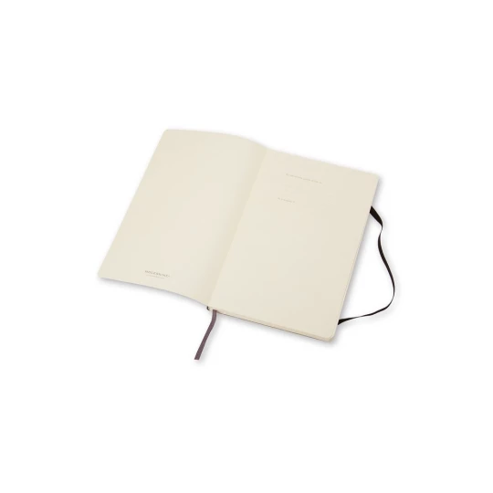 MOLESKINE Notatnik ok. A6 (VM205-03)-1