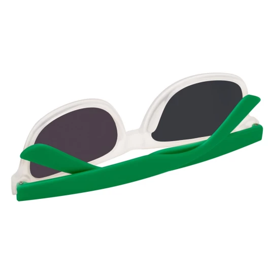 Okulary przeciwsłoneczne | Leroy (V8669-06)-1