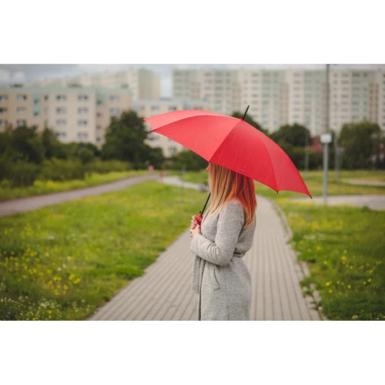 Parasol automatyczny | Dwight (V9852-08)-1