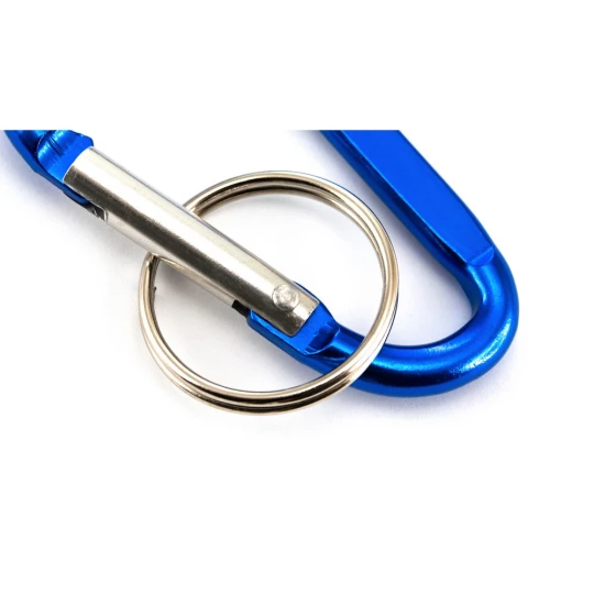 Keyring, carabiner (V0538-04)-1