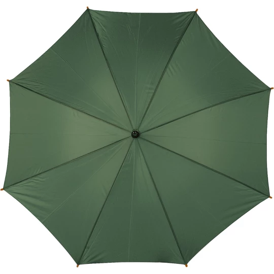 Automatic umbrella (V4232-06)-1