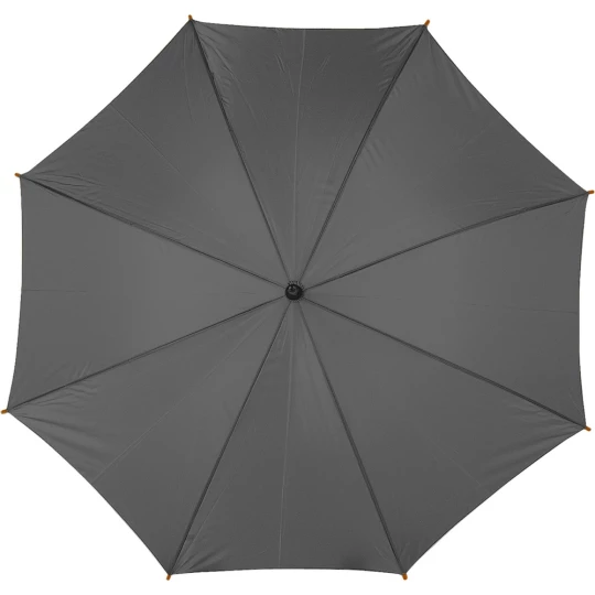 Automatic umbrella (V4232-19)-1