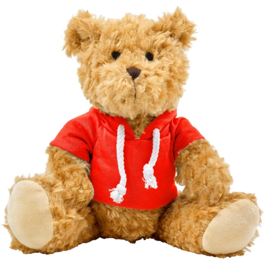 Teddy bear with hoodie (V7320-05)-1