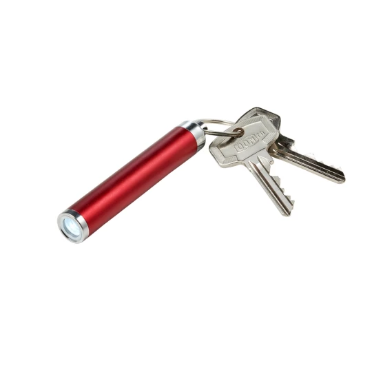 Brelok do kluczy, lampka LED (V0601-05)-1