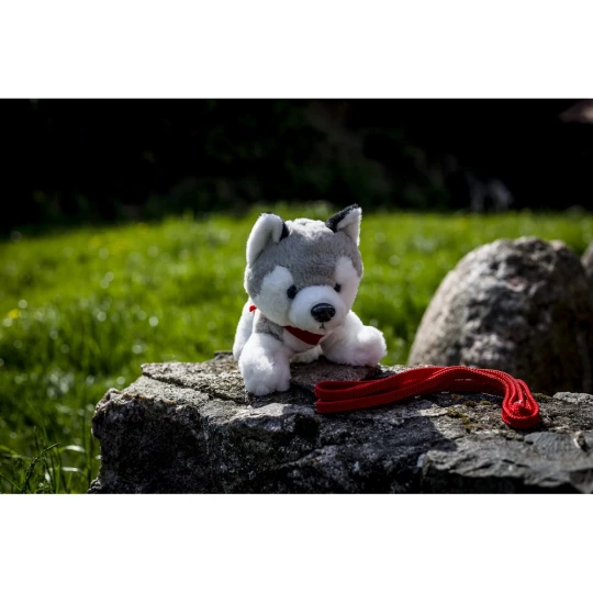 Hund Husky mit rotem Halstuch | Trooper (HE692-19)-1
